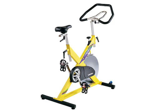 LeMond RevMaster Indoor Cycle