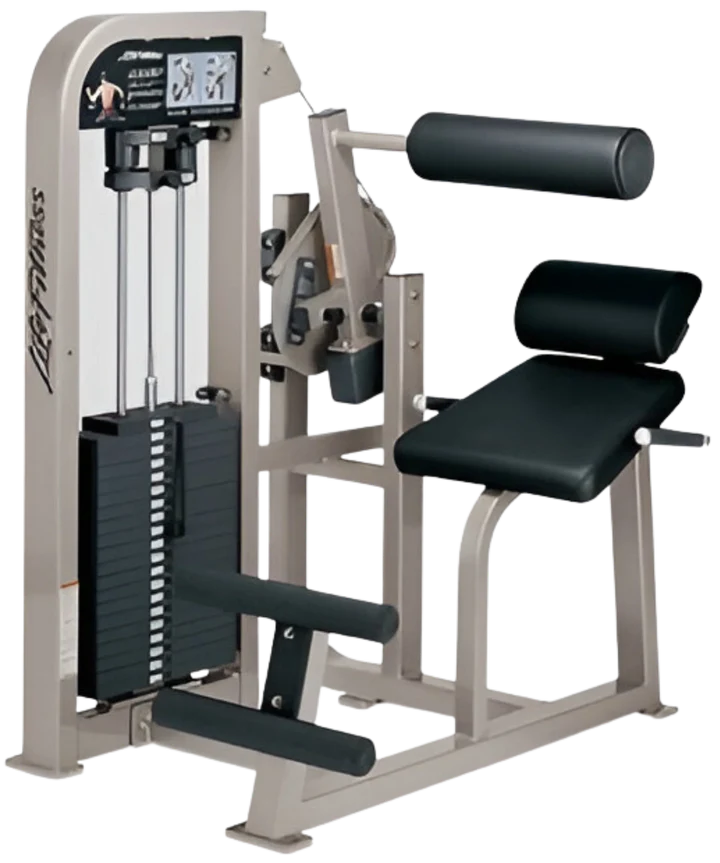 Life Fitness PRO 2 SE Back Extension